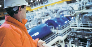 mercados_ingenieria_richsky